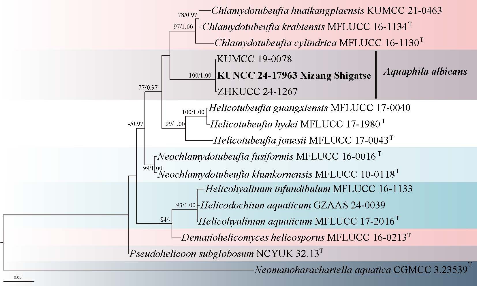 Figure 20